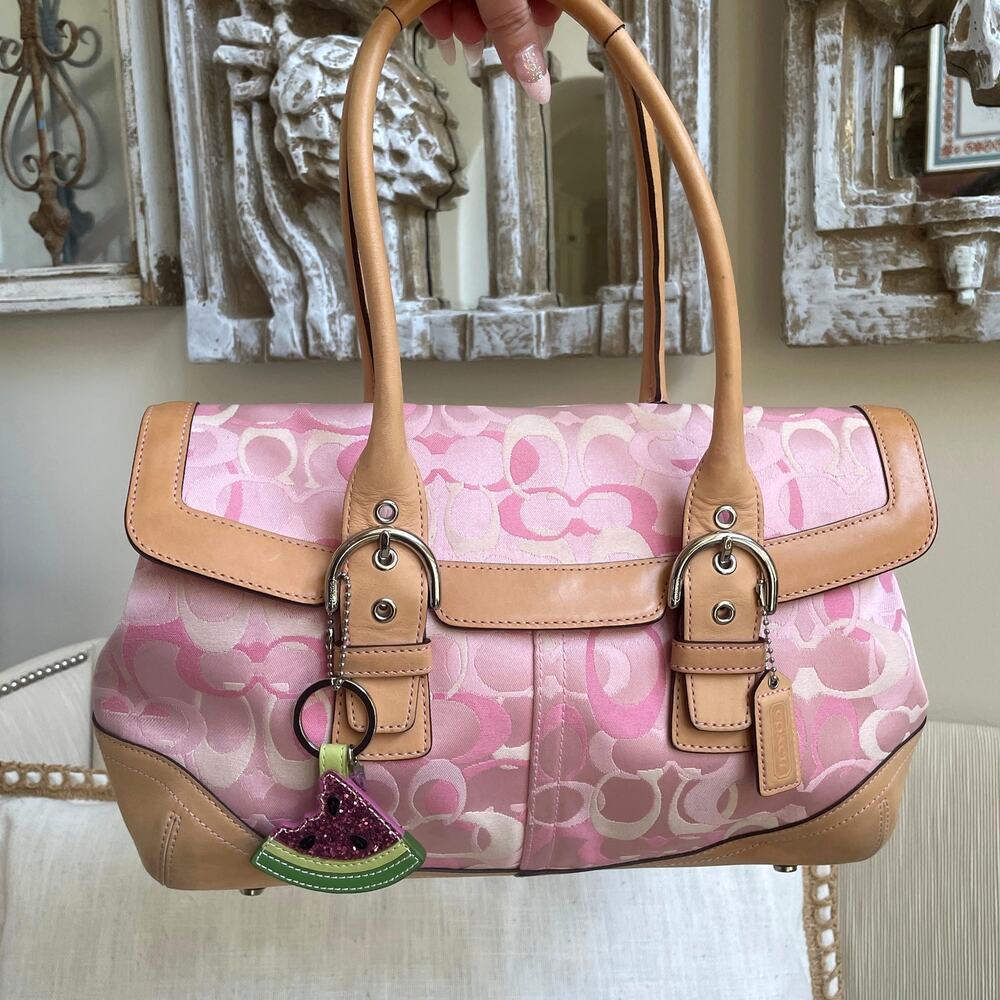 RARE Coach Pink Optic C 4-Piece Collector Set + Watermelon Charm - Picture 2 of 16